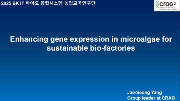 행사 포스터