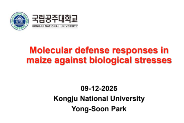 행사 포스터